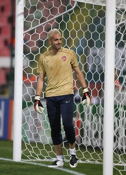 Manuel Almunia's Victory: Arsenal Overpowers Steaua Bucharest 1-0 in Champions League Group H