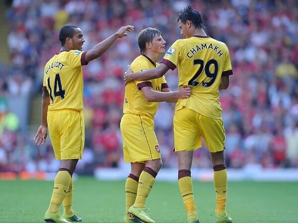 Marouane Chamakh, Andrey Arshavin and Theo Walcott celebrate the Arsenal goal