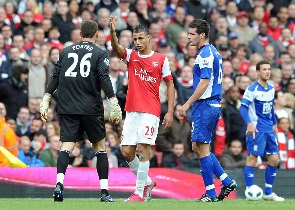Marouane Chamakh (Arsenal) Ben Foster and Scott Dann (Birmingham). Arsenal 2