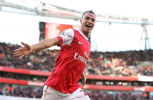 Marouane Chamakh's Goal: Arsenal Takes 2-1 Lead Against Birmingham City, Barclays Premier League