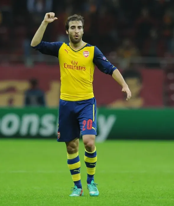 Framed Print : Mathieu Flamini in Action: Arsenal vs. Galatasaray, UEFA Champions League, Istanbul, 2014 Framed Print : Mathieu Flamini in Action: Arsenal vs. Galatasaray, UEFA Champions League, Istanbul, 2014
