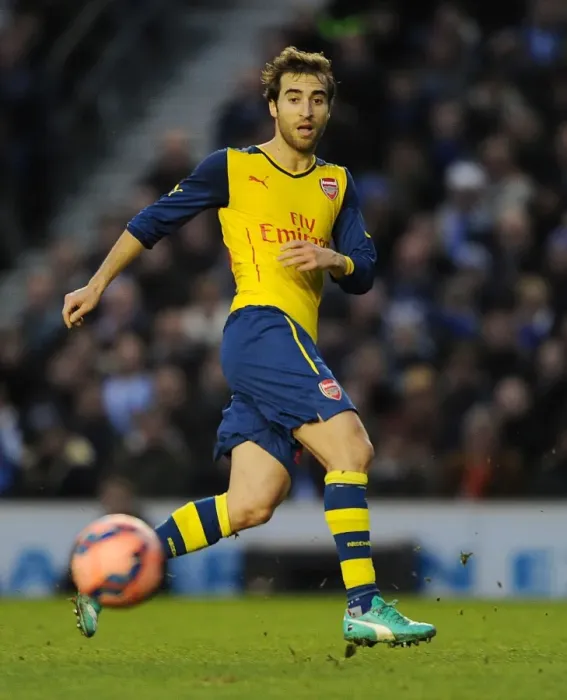 Framed Print : Mathieu Flamini in Action: Arsenal vs. Brighton & Hove Albion, FA Cup 2015
