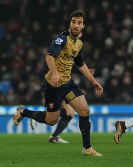 Framed Print : Mathieu Flamini in Action: Arsenal vs Stoke City, Premier League 2015-16 Framed Print : Mathieu Flamini in Action: Arsenal vs Stoke City, Premier League 2015-16