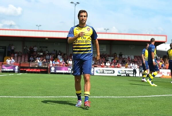Mathieu Flamini: Arsenal Midfielder's Pre-Season Training Intensifies at Boreham Wood