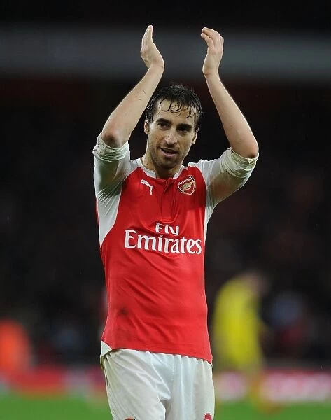 Mathieu Flamini: Arsenal Star's Euphoric Moment with Fans after Newcastle United Victory