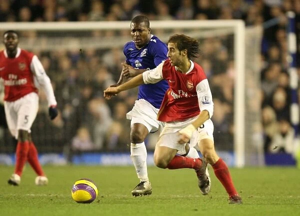 Mathieu Flamini (Arsenal) Yakubu (Everton)