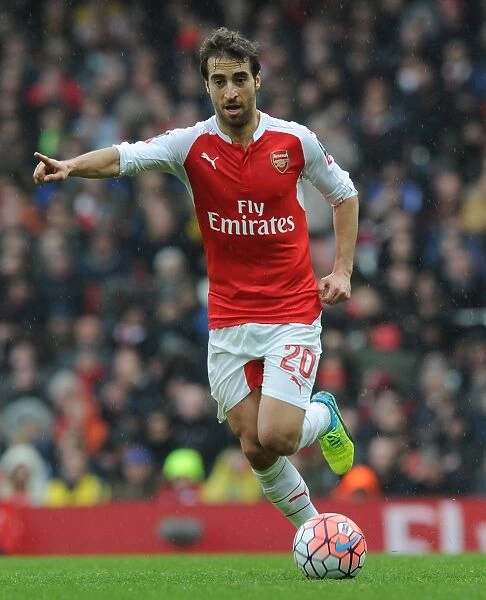Mathieu Flamini in FA Cup Action: Arsenal vs Hull City at The Emirates