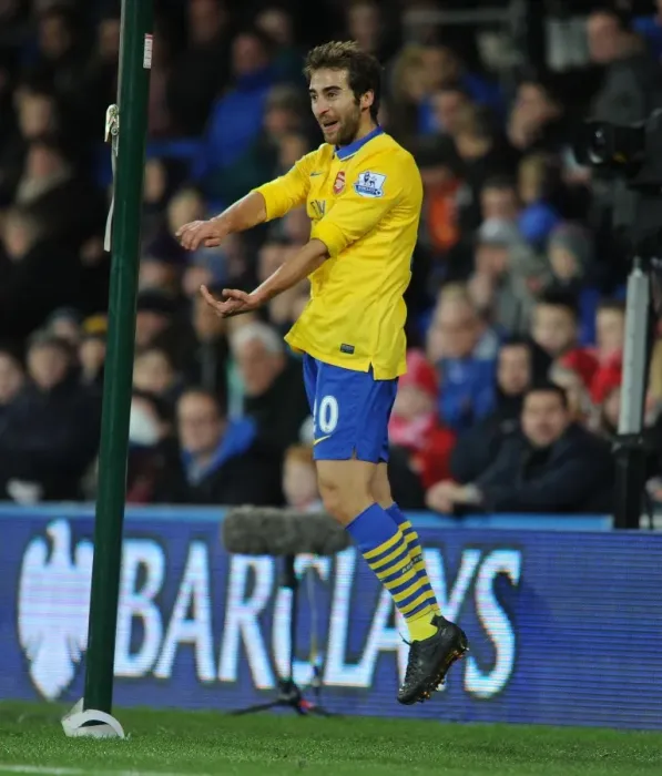 Framed Print : Mathieu Flamini Scores Arsenal's Second Goal vs. Cardiff City (2013-14) Framed Print : Mathieu Flamini Scores Arsenal's Second Goal vs. Cardiff City (2013-14)