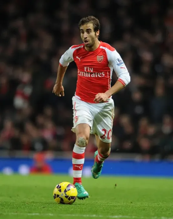 Framed Print : Mathieu Flamini's Winning Goal: Arsenal 1-0 Southampton, Premier League 2014-15