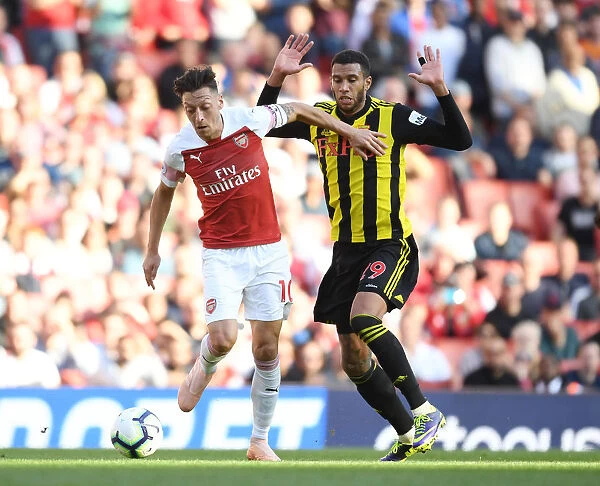 Mesut Ozil's Masterclass: Outsmarting Etienne Capoue in Arsenal's Premier League Victory (2018-19)