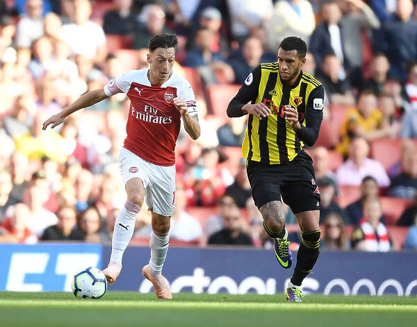 Mesut Ozil's Masterclass: Outsmarting Etienne Capoue in Arsenal's Premier League Victory (2018-19)