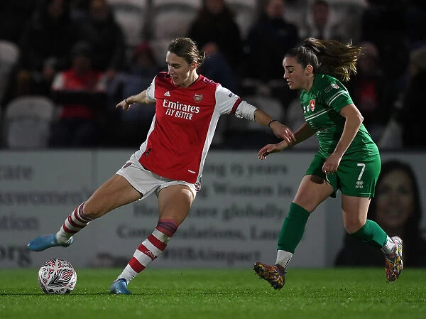 Miedema's Battle Against Coventry's Defense: Arsenal Women's FA Cup Quarterfinal Showdown