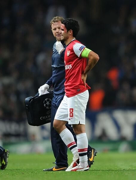 Mikel Arteta Assisted Off Field by Colin Lewin during Arsenal vs Napoli, UEFA Champions League (2013)