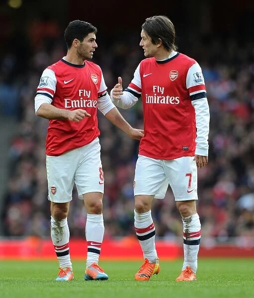 Mikel Arteta and Tomas Rosicky: A Moment of Connection during Arsenal's Battle against Sunderland (2013-14)