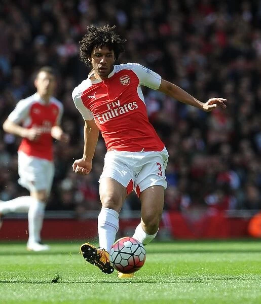 Mohamed Elneny: In Action for Arsenal Against Crystal Palace, Premier League 2015-16