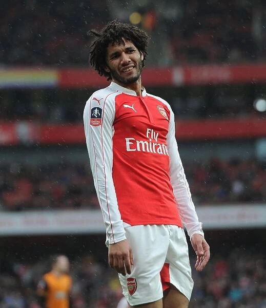 Mohamed Elneny: In Action for Arsenal against Hull City in the FA Cup