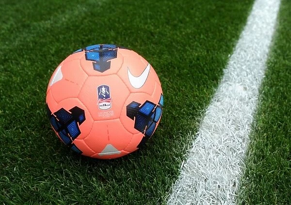 Nike Football: Arsenal v Tottenham Hotspur FA Cup Third Round - Goal Line Technology Test
