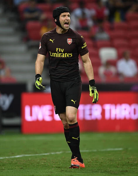 Petr Cech in Action: Arsenal vs Atletico Madrid, International Champions Cup 2018