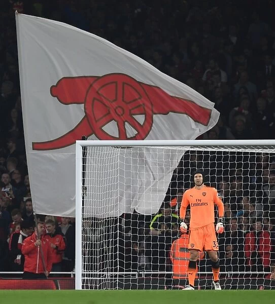 Petr Cech in Action: Arsenal vs. West Bromwich Albion, Premier League 2017-18