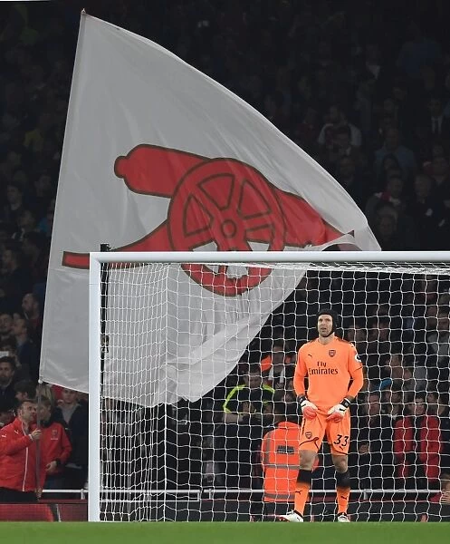 Petr Cech in Action: Arsenal vs West Bromwich Albion, Premier League 2017-18
