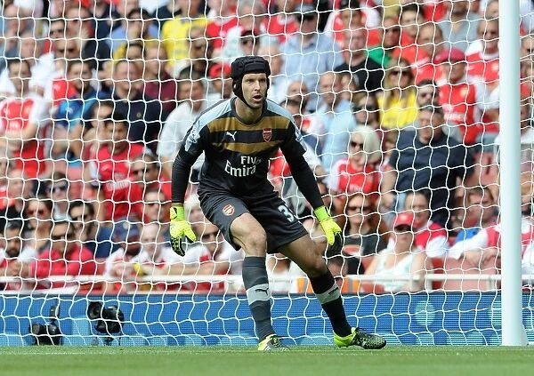 Petr Cech in Action: Arsenal vs West Ham (2015-16)