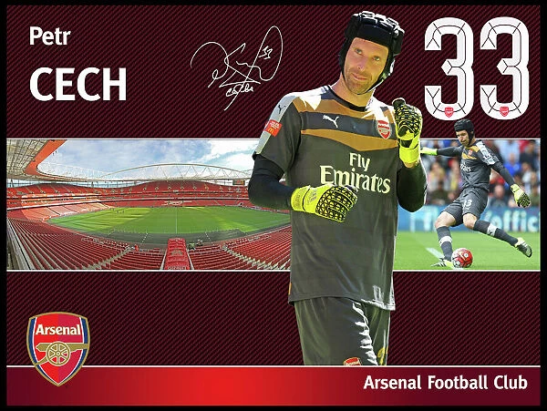 Petr Cech Framed Player Profile