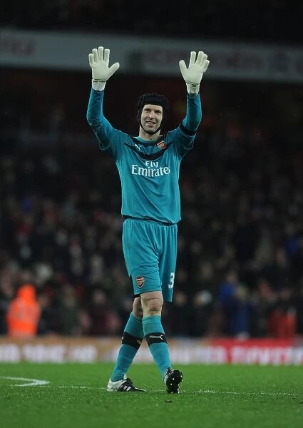 Petr Cech's Reaction: Arsenal's Dramatic Victory over Newcastle United, Premier League 2015-16