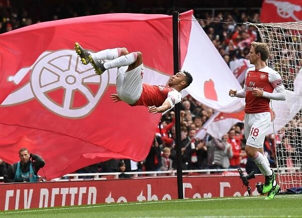 Pierre-Emerick Aubameyang's Thrilling Goal: Arsenal FC vs Brighton & Hove Albion, Premier League 2018-19