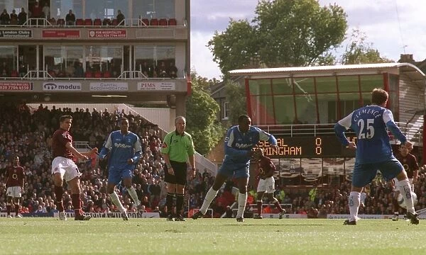 Robin van Perise scores Arsenals goal under pressure from Emile Heskey (Birmingham)