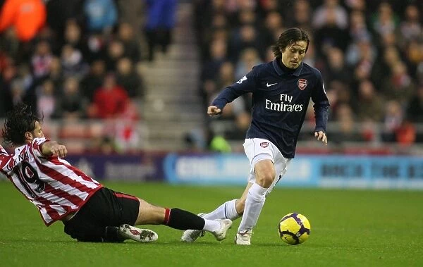 Rosicky vs. Cana: Arsenal's Victory over Sunderland (1:0), Barclays Premier League, 2009