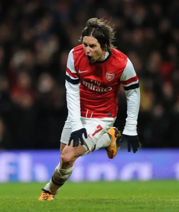Framed Print : Rosicky's Double Strike: Arsenal's FA Cup Triumph Over Tottenham (January 2014) Framed Print : Rosicky's Double Strike: Arsenal's FA Cup Triumph Over Tottenham (January 2014)