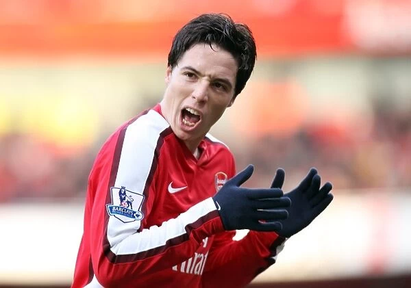 Samir Nasri's Goal: Arsenal's 1-0 Victory Over Portsmouth in the Barclays Premier League (December 28, 2008)