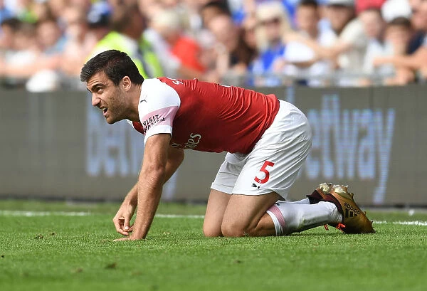 Sokratis in Action: Cardiff City vs Arsenal, Premier League 2018-19