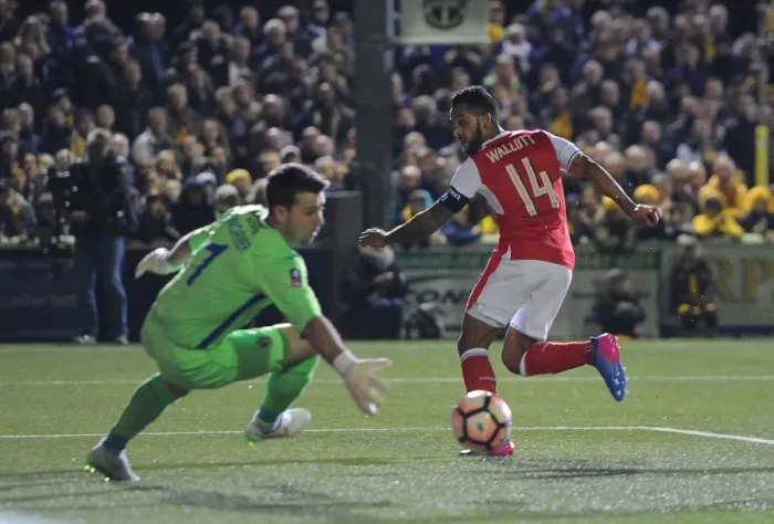 Framed Print : Theo Walcott Scores Upset Goal: Sutton United vs. Arsenal, Emirates FA Cup Fifth Round Framed Print : Theo Walcott Scores Upset Goal: Sutton United vs. Arsenal, Emirates FA Cup Fifth Round
