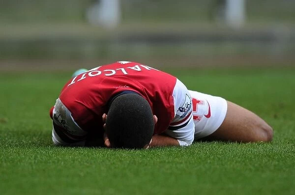 Theo Walcott's Injury Marrs Newcastle United vs Arsenal, Premier League 2013-14
