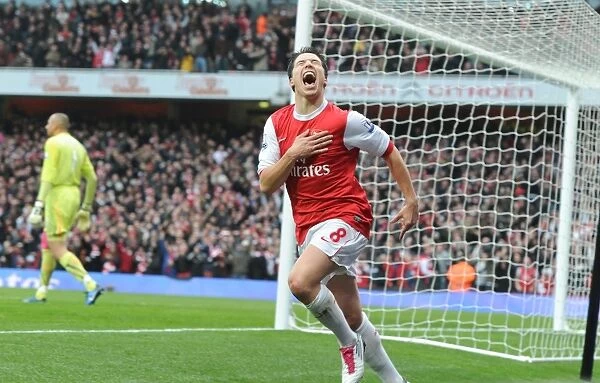 Thrilling Comeback: Samir Nasri's Stunner vs. Tottenham Hotspur (3-2), Arsenal Football Club, Premier League 2010-11