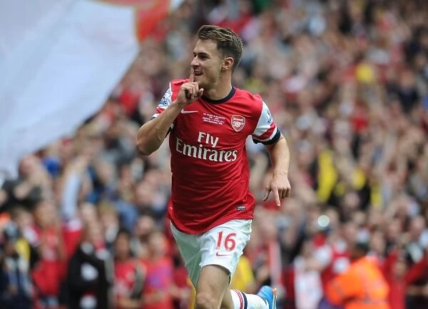 Thrilling Goal: Aaron Ramsey Scores for Arsenal vs Stoke City, Premier League 2013-14