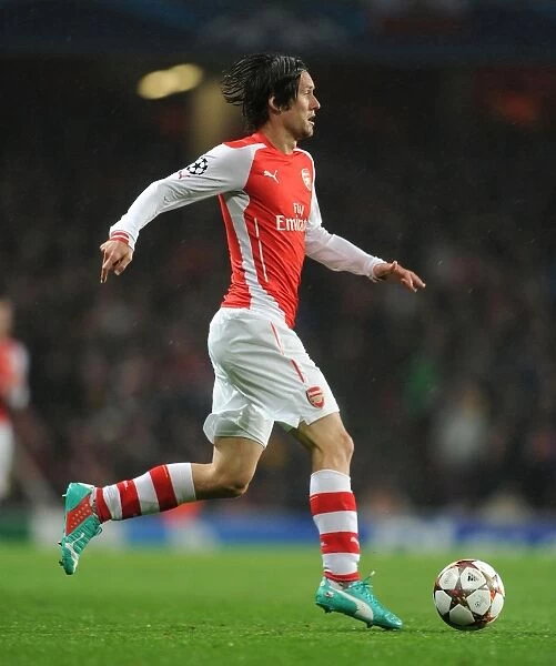 Tomas Rosicky in Action: Arsenal FC vs RSC Anderlecht, UEFA Champions League, 2014