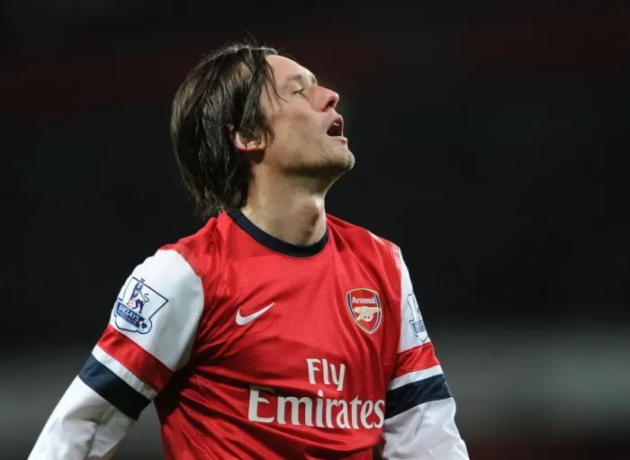 Framed Print : Tomas Rosicky: In Action for Arsenal Against Swansea City (2014) Framed Print : Tomas Rosicky: In Action for Arsenal Against Swansea City (2014)
