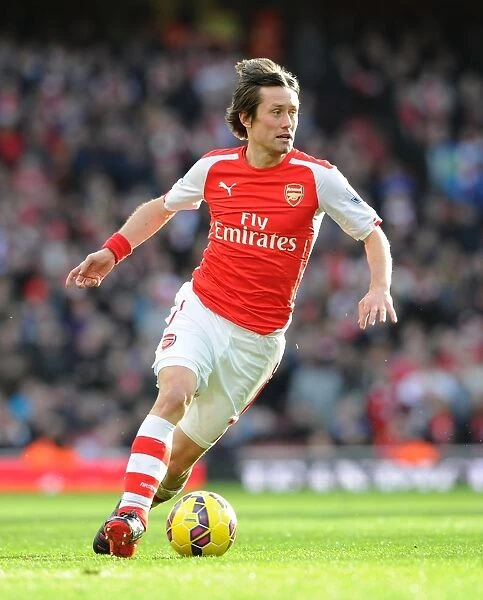 Tomas Rosicky in Action: Arsenal vs. Everton, Premier League 2015