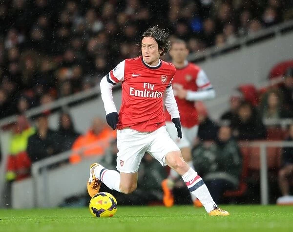 Tomas Rosicky in Action: Arsenal vs. Cardiff City, Premier League 2013-14