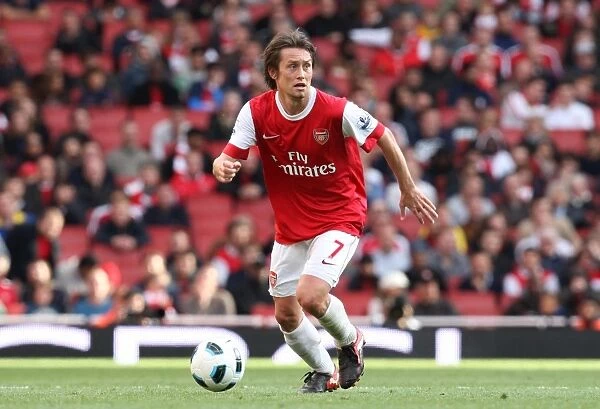 Tomas Rosicky (Arsenal). Arsenal 2: 3 West Bromwich Albion, Barclays Premier League