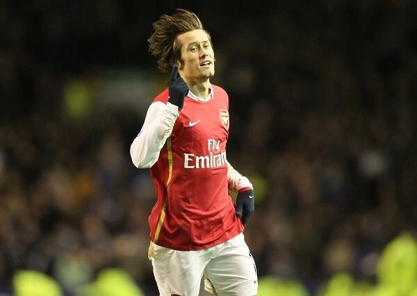 Tomas Rosicky celebrates scoring Arsenals 4th goal