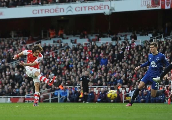 Tomas Rosicky Scores Arsenal's Second Goal Against Everton in the Premier League (2015)