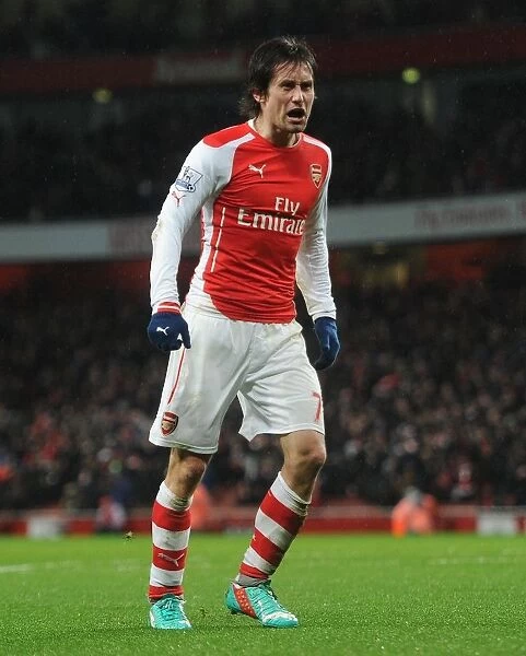 Tomas Rosicky Scores Arsenal's Second Goal vs. Queens Park Rangers (2014-15)
