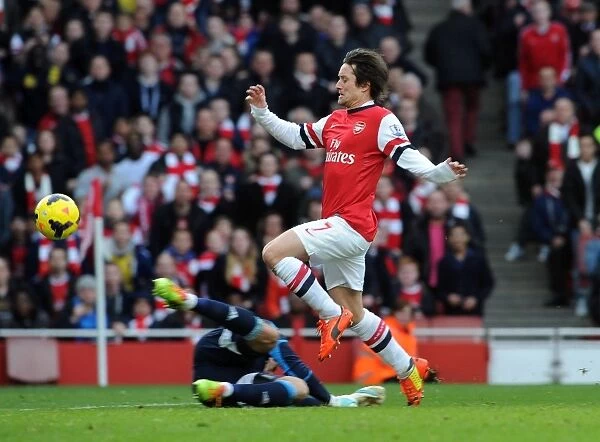 Tomas Rosicky Scores Stunner: Arsenal's 3rd vs Sunderland (2013-14)