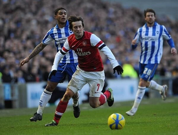Tomas Rosicky vs. Liam Bridcutt: FA Cup Clash Between Brighton & Hove Albion and Arsenal