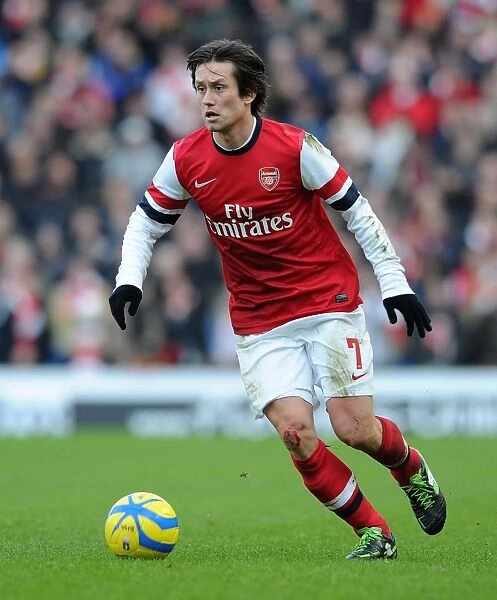 Tomas Rosicky's Standout Performance: Arsenal's FA Cup Victory over Brighton & Hove Albion (2012-13)