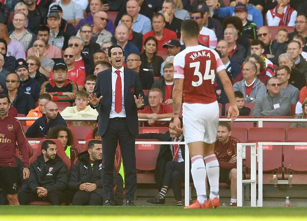 Unai Emery Goes Head-to-Head with Watford in Arsenal's 2018-19 Premier League Battle