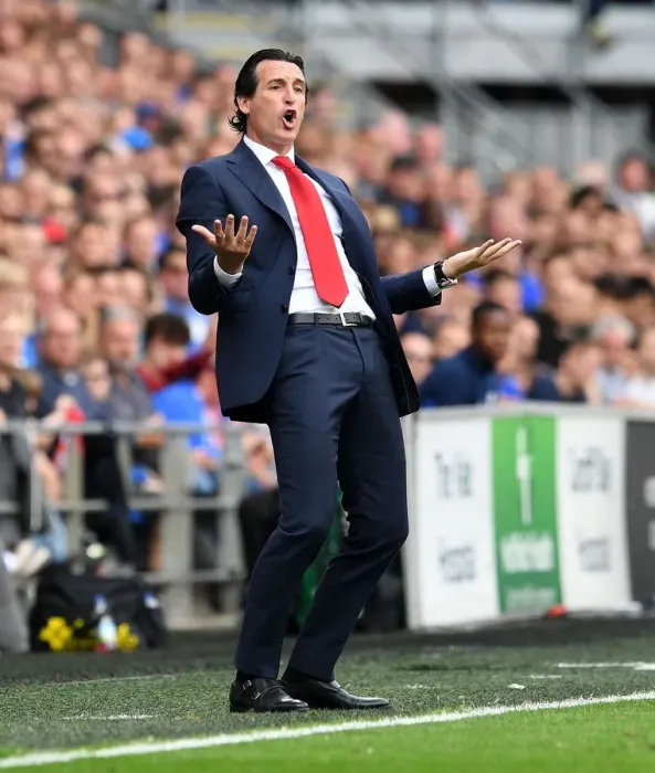 Framed Print : Unai Emery Leads Arsenal Against Cardiff City in Premier League Clash Framed Print : Unai Emery Leads Arsenal Against Cardiff City in Premier League Clash
